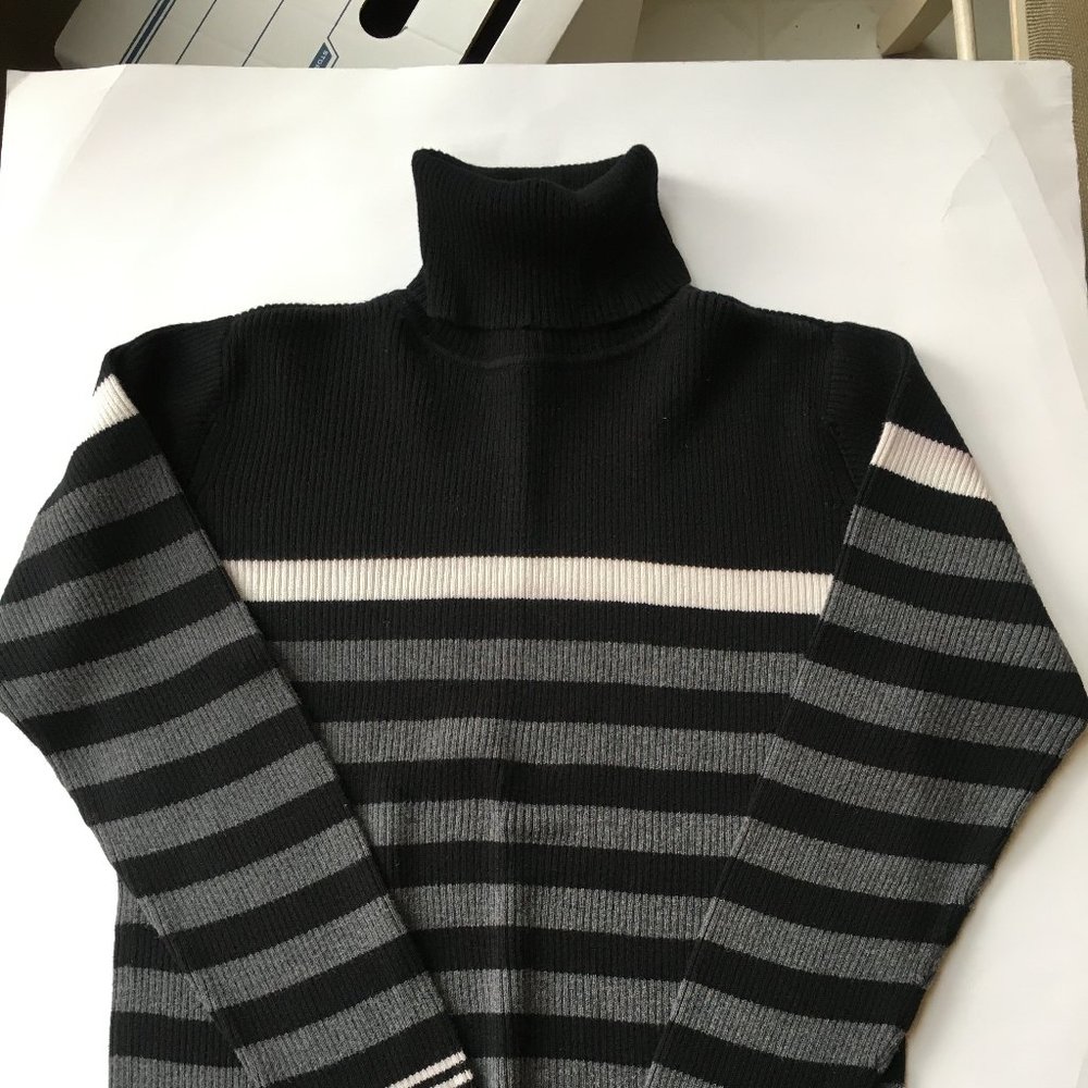Liz Claiborne Turtleneck Ladies Sz. Petite Small Lizsport Petite
